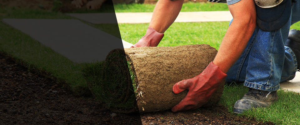 Cottondale Landscapers